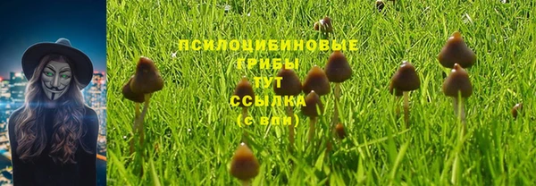 прущие крисы Приозерск