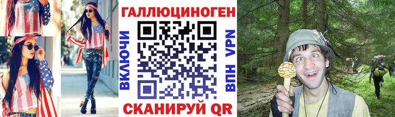 Купить закладки  Дмитриев  Галлюциногенные грибы Psilocybine cubensis 